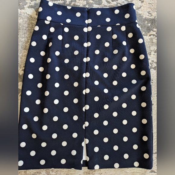 Navy and White Polka Dot Skirt - Picture 2 of 4